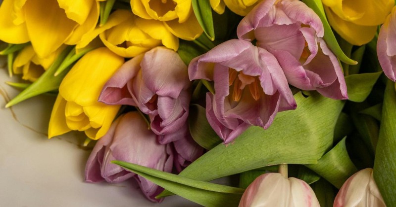 flores son el regalo ideal para el Día de la Madre